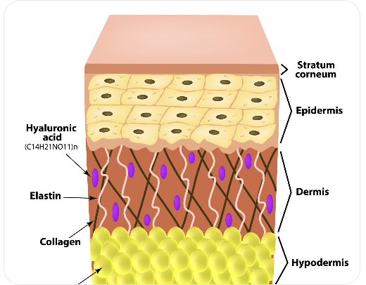 Mésothérapie Paris